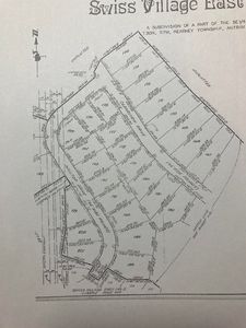 3 Swiss, Bellaire, MI, 49615