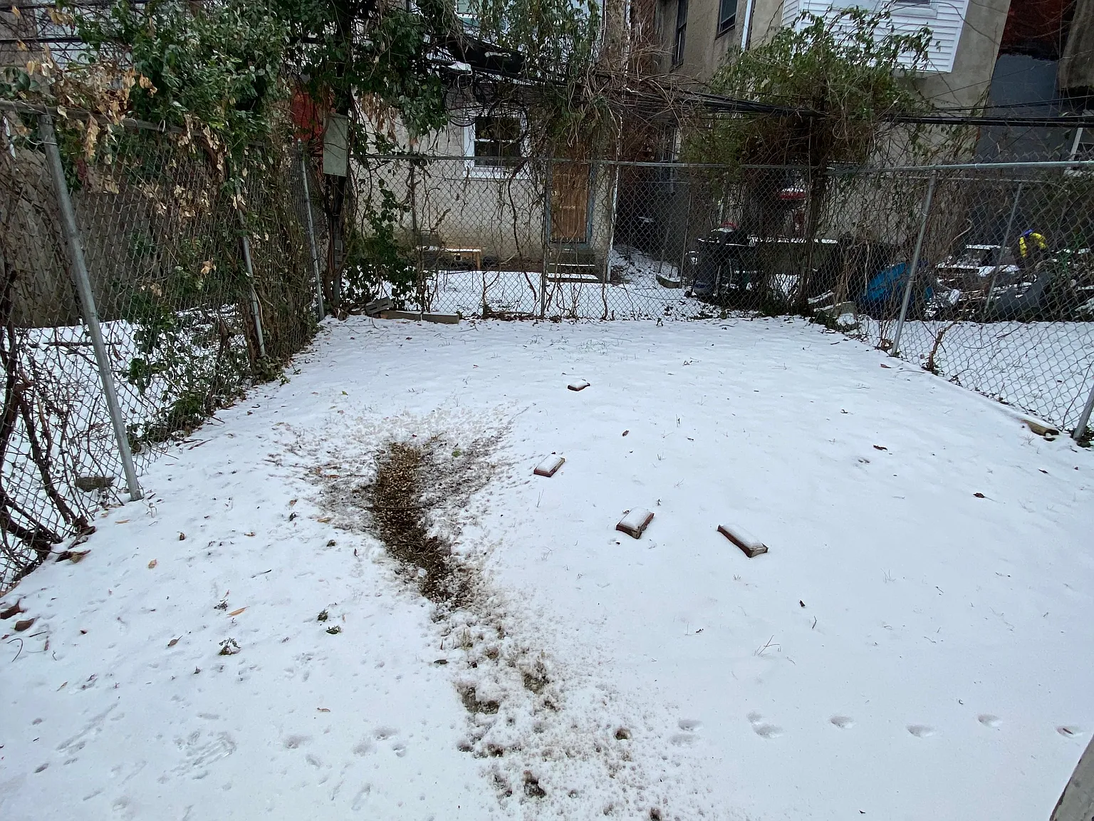 5 bed, 1660 sqft, $3,000 — Photo 3