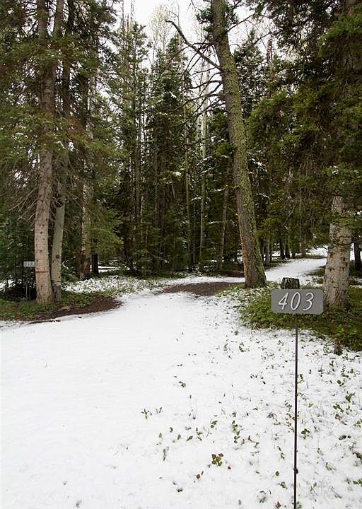 1st image of 403 Crest Drive