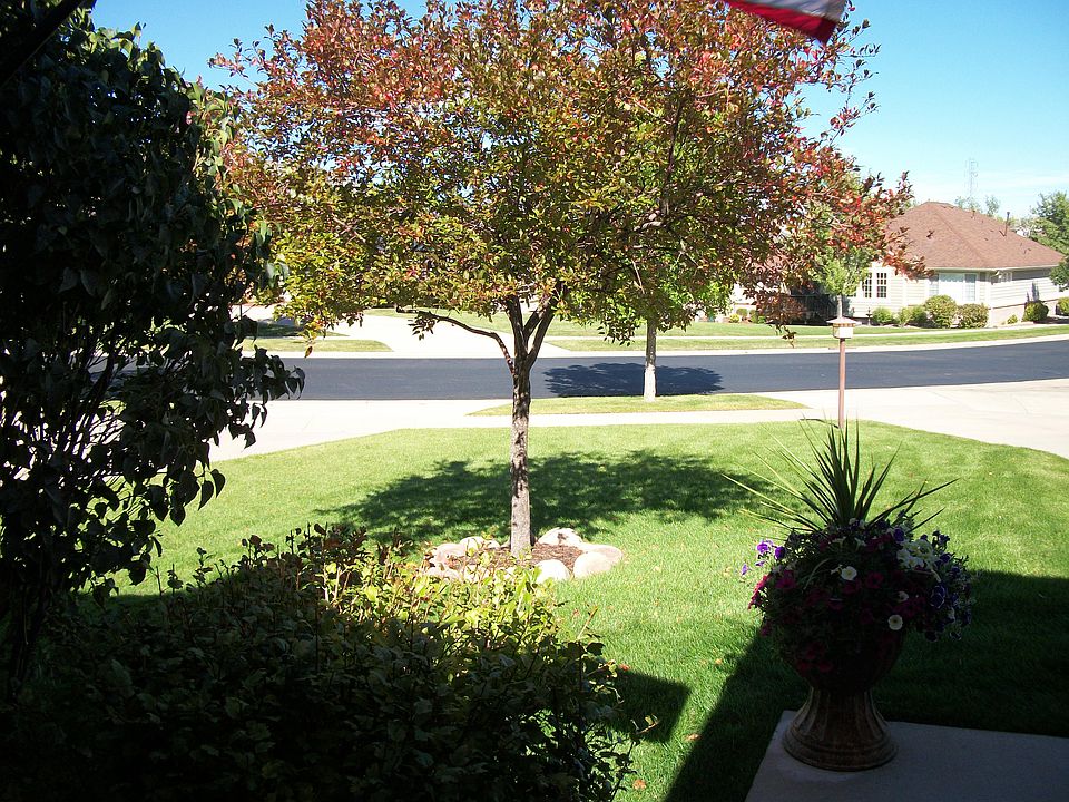front yard