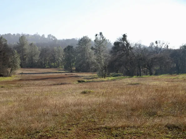 10282 Piney Creek Rd, Coulterville, CA 95311