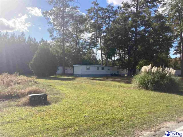 Old Hamer Rd, Hamer, SC 29547