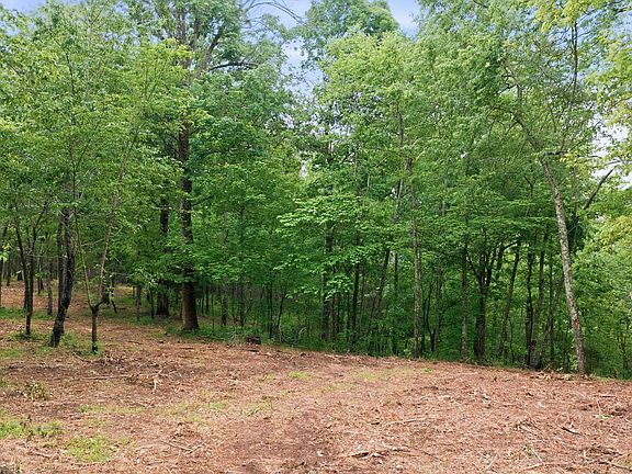 3rd image of 0 Willow Spring Rd