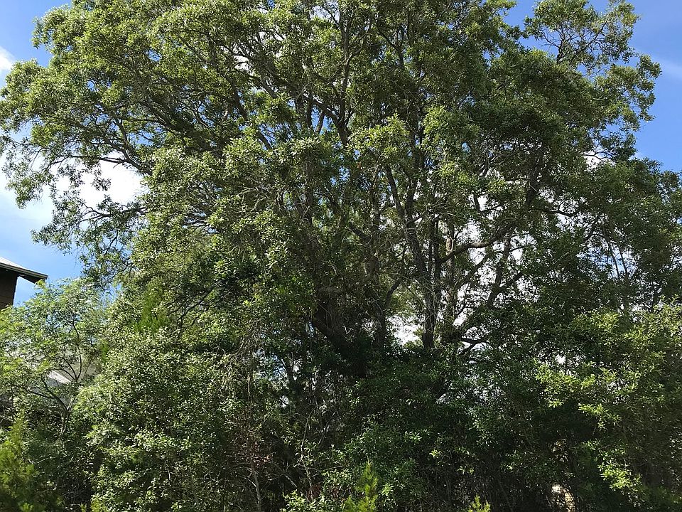 2nd image of LOT 41 Forest Lakes Okeechobee W Pontchartrain N