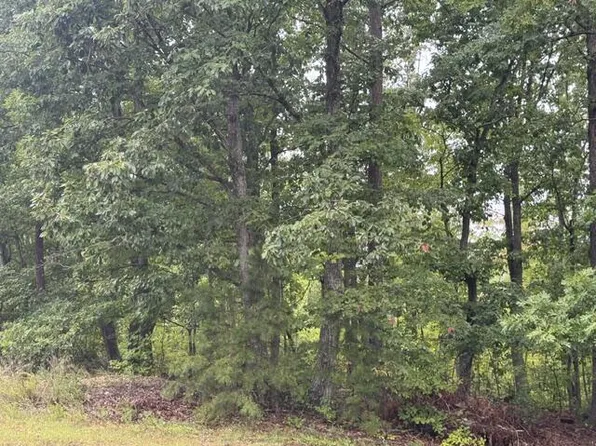 W James Anderson Hwy #A, Gladstone, VA 24553