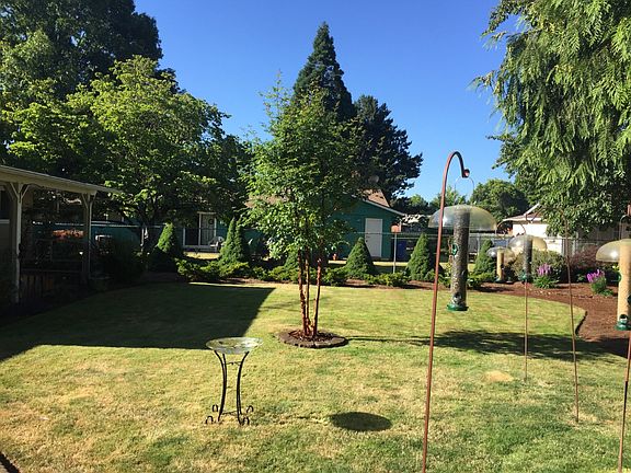 Back yard(side view)- summer