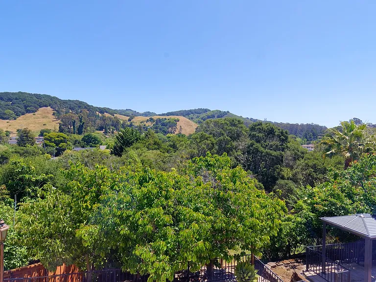 1012 Trailside Dr — Photo 37