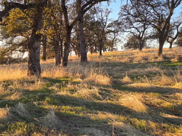 Avacado Rd, Bangor, CA 95914