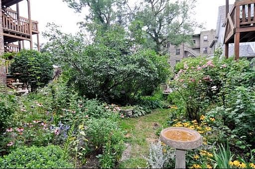 5th image of 1625 W Wilson Ave