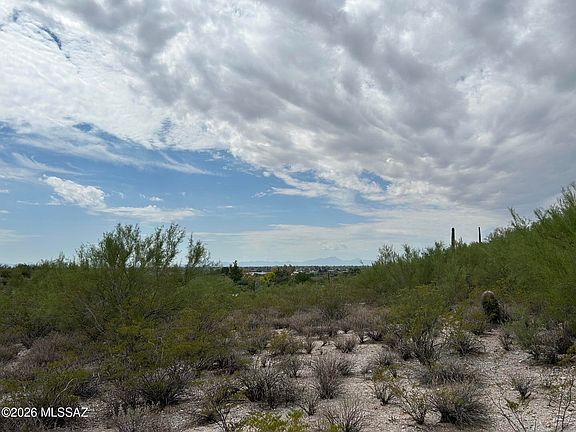 2nd image of N Palo Verde Blvd