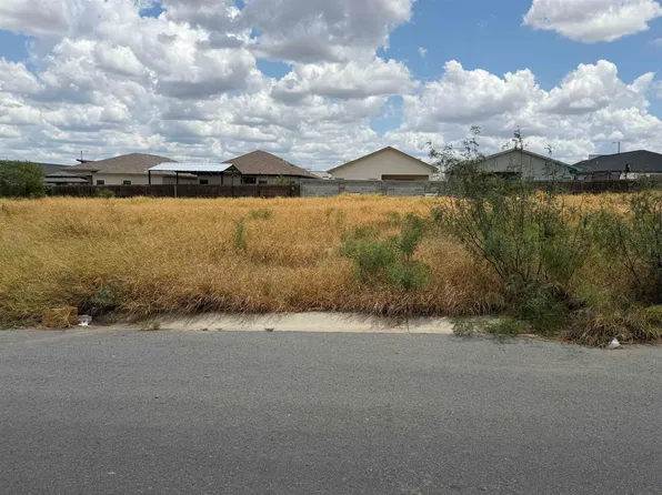 1423 El Zarape Ln, Laredo, TX 78043