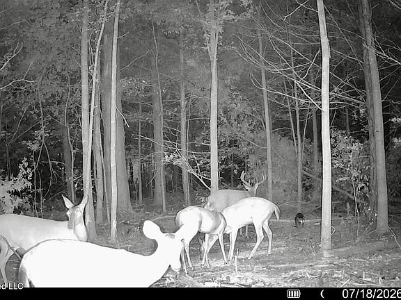 2nd image of 11616 Wildwood Rd