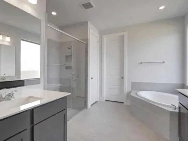 Master bedroom bath