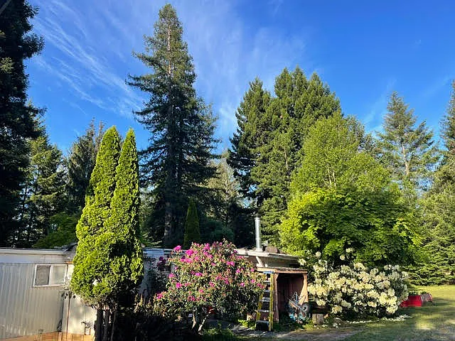 556 Evans Rd — Photo 10