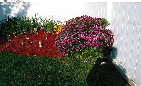 3rd image of 3212 Muscat Ct