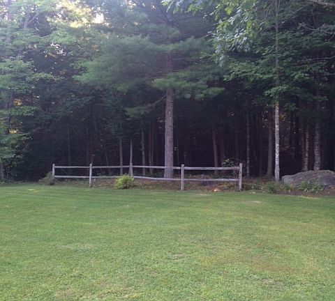 Back lawn