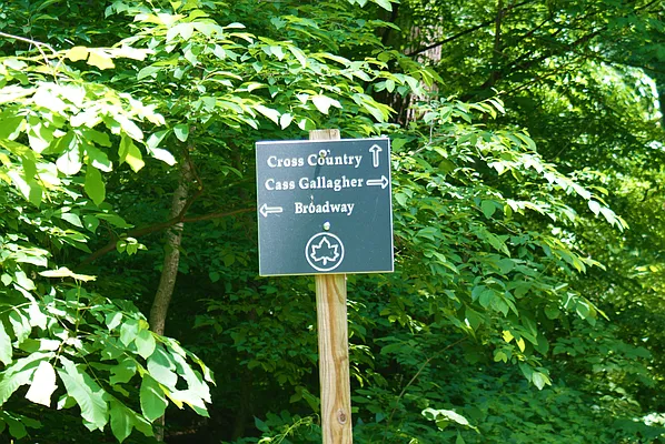 Rented by Keller Williams Realty Group | media 16