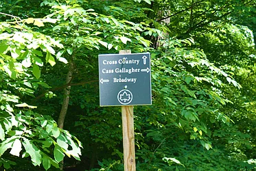 Rented by Keller Williams Realty Group