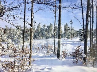 Pinspare Trl, Traverse City, MI 49685