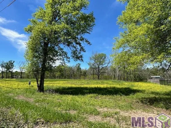 13045 Bluff Rd, Geismar, LA 70734