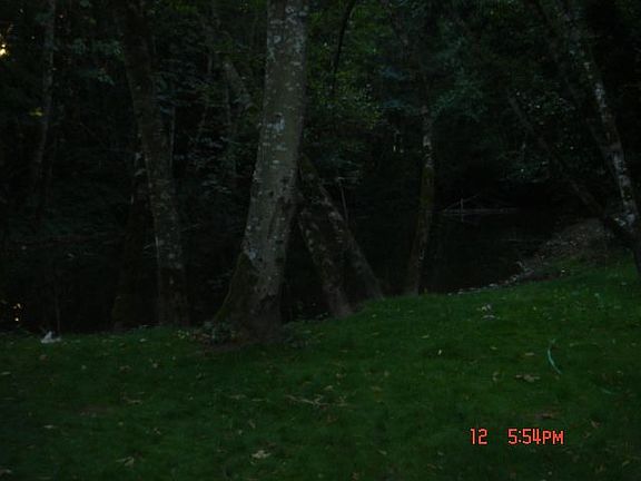 Creek view