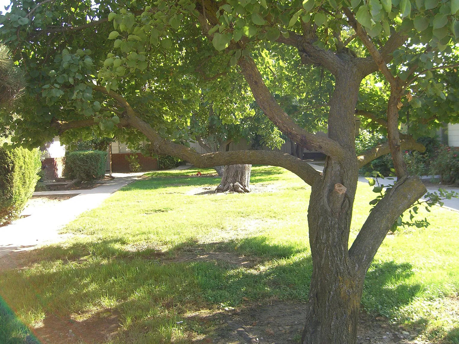 1322 Leonard Ave — Photo 1