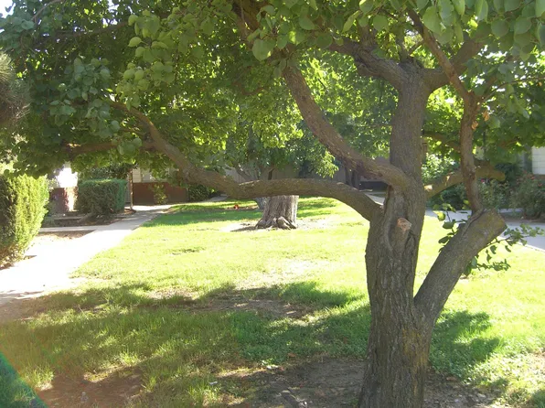 1322 Leonard Ave APT 7, Modesto, CA 95350