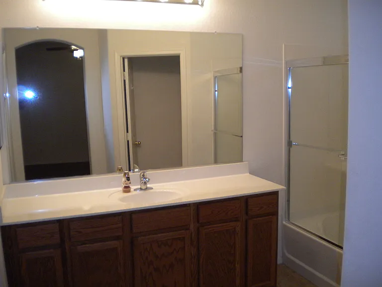 Master Bath_01242014