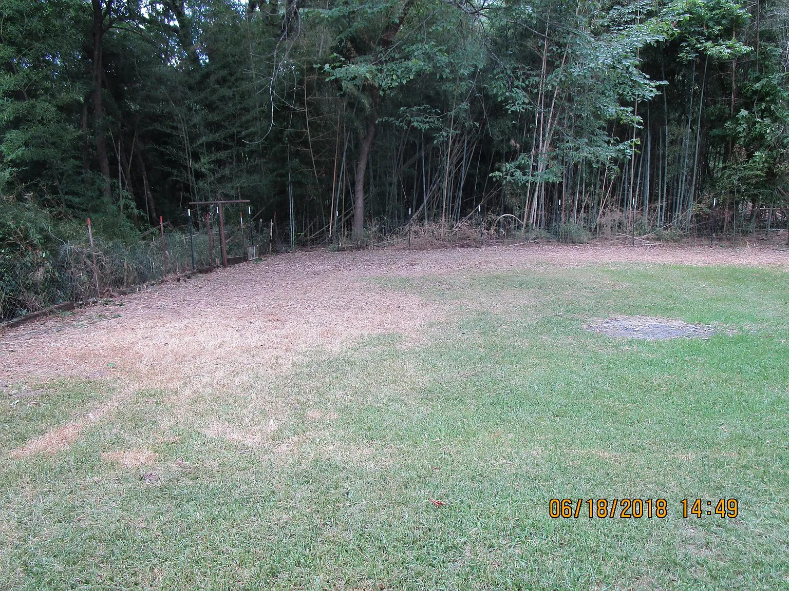 2 bed, 1200 sqft, $900 — Photo 3