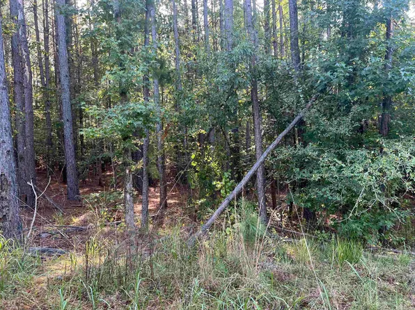 Xx 6 Castle Rd, Amity, AR 71921
