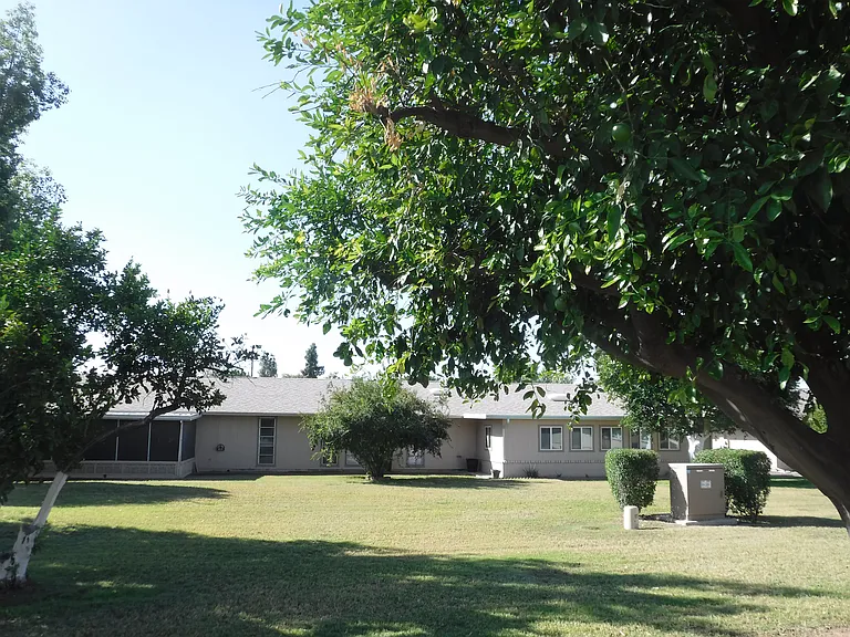 Backyard for single level condo. Citrus trees and grass that is mowed for you!