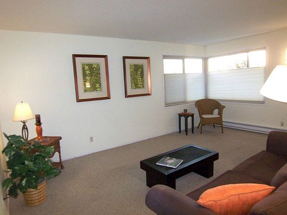 Another view of living room looking back towards the windows.