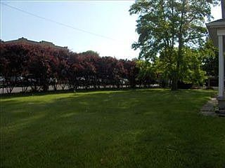 4th image of 735 Wayne Ave