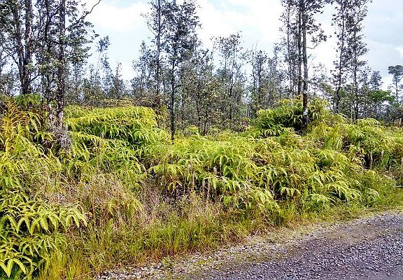 3rd image of Road 7 Opeapea Lot 4738