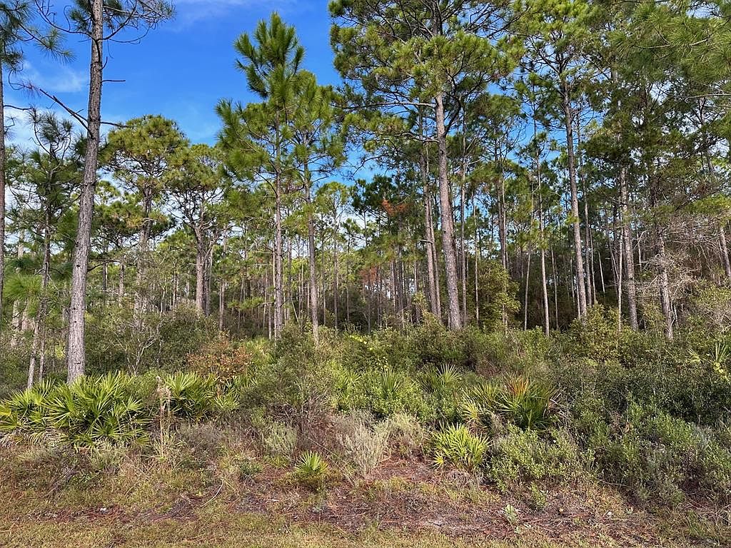 PARCEL 4 Houston Rd, Eastpoint, FL 32328 MLS 316007 Zillow