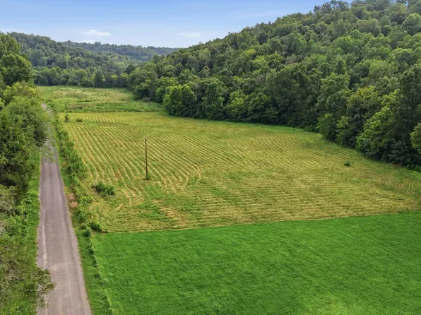 1 Cathcart Rd, Frankewing, TN 38459