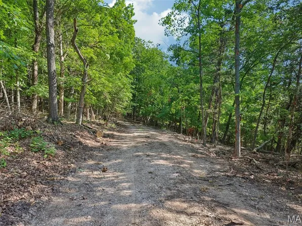 6300 Franks Rd, House Springs, MO 63051
