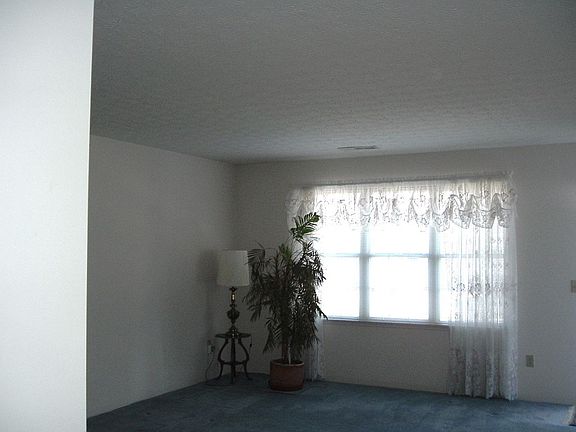 Living room window