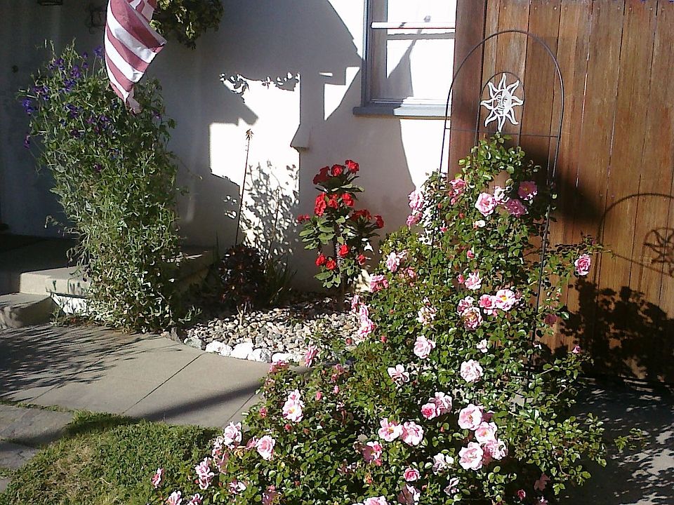 2nd image of 3754 Tuller Ave