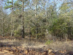 2nd image of 185 Saylor Culler Rd