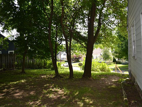 wooded side yard