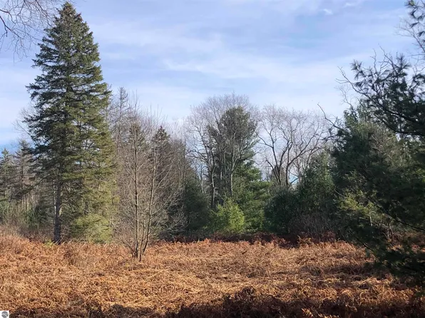 16323 Springdale Rd, Thompsonville, MI 49683