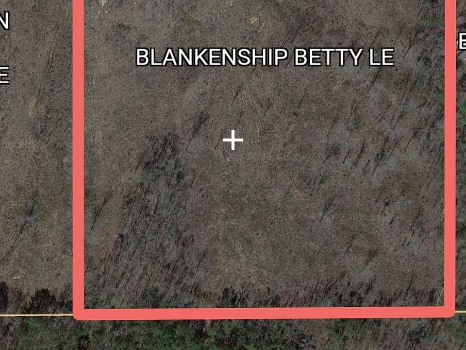 2nd image of 20 Coosa County Road 55 #20
