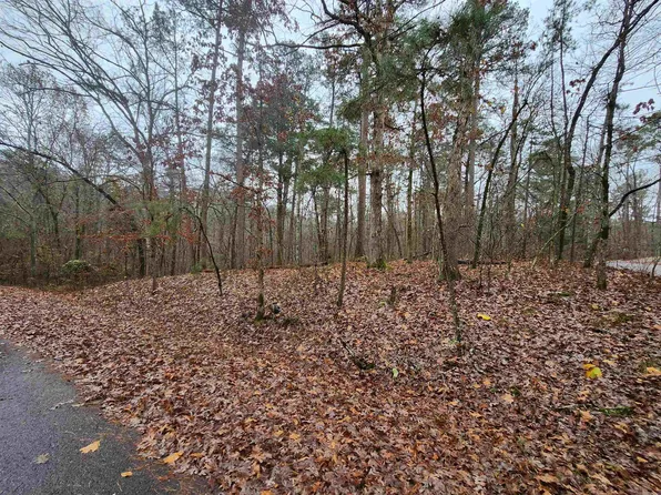 60 Quijote Cir, Hot Springs Village, AR 71909