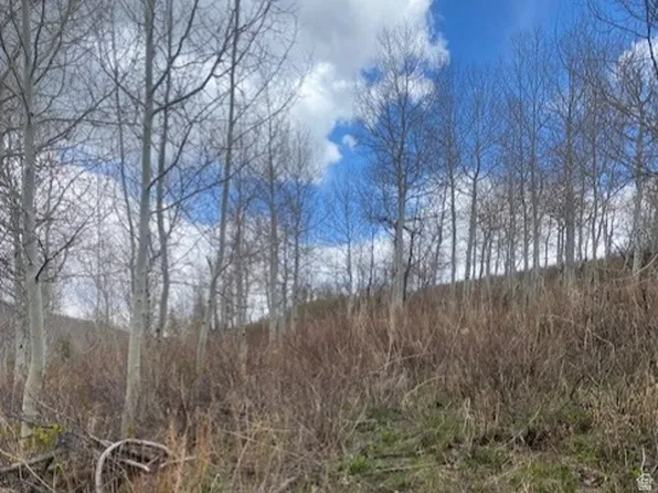 1117 W Arapaho Dr, Wanship, UT 84017