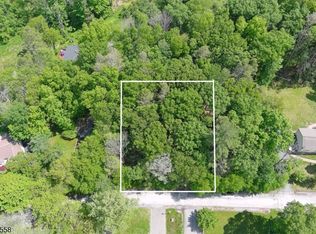 229 Old Chimney Ridge Rd, Montague, NJ 07827