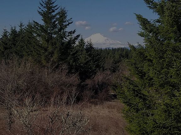 Mt Adams