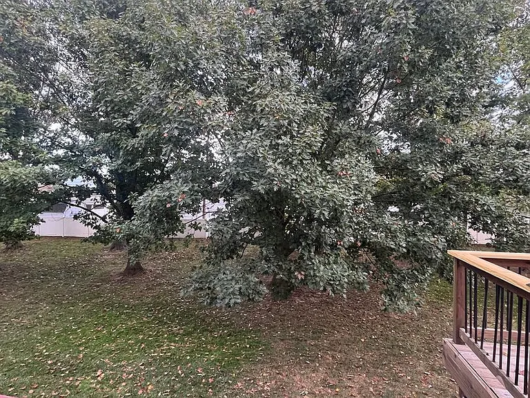 82 Liberty Dr — Photo 24