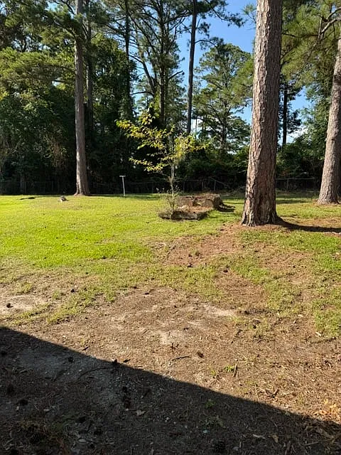 6635 Playfield Drive - 6635PLAYFI — Photo 2