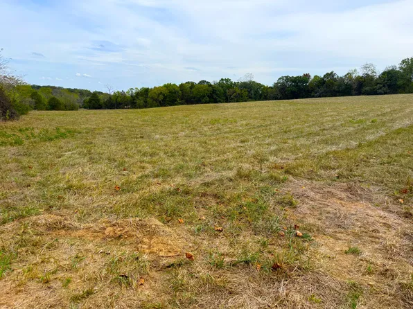 000 State Highway 86 Tract 5, Eagle Rock, MO 65641